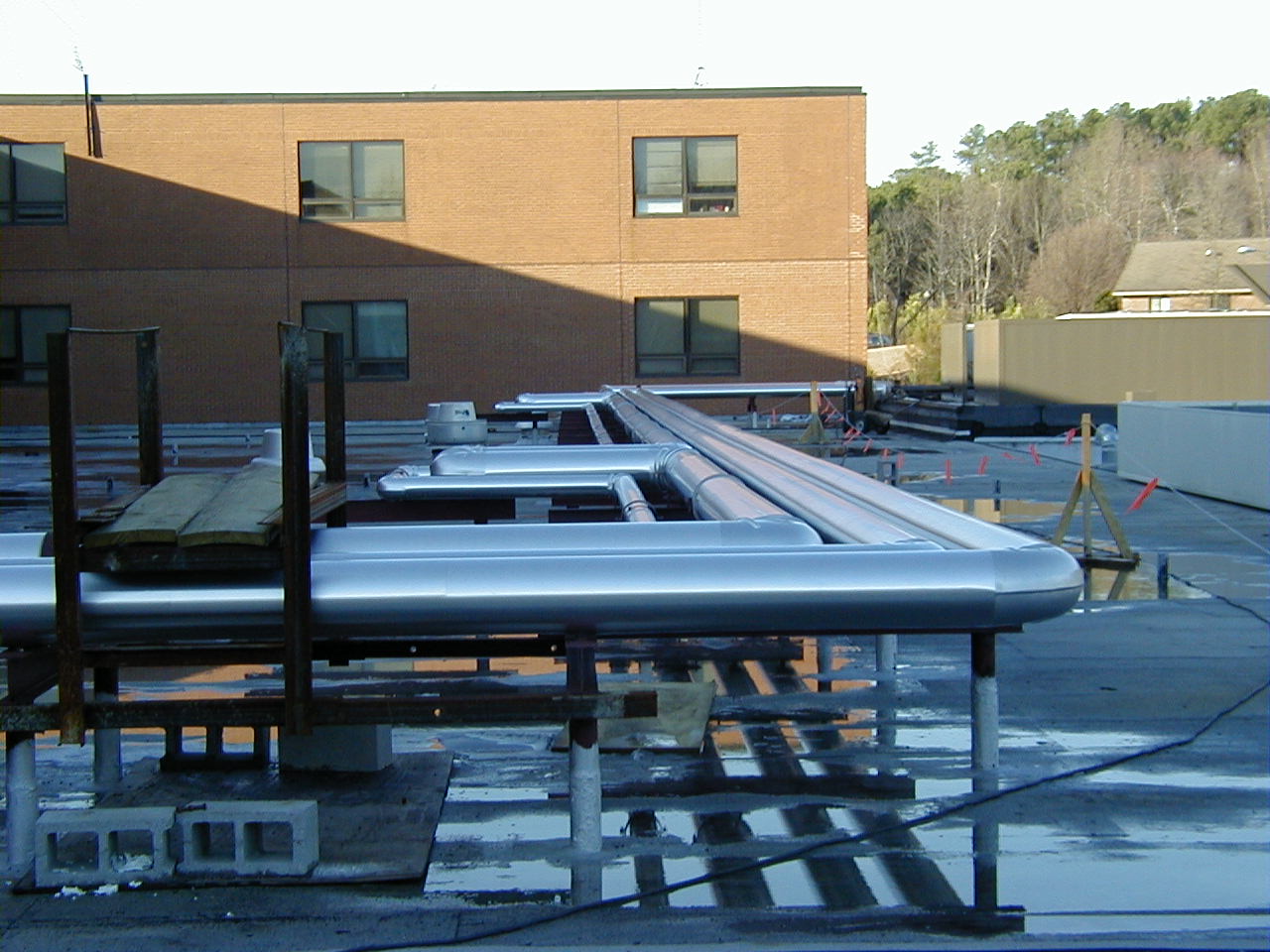 roofjacket.jpg